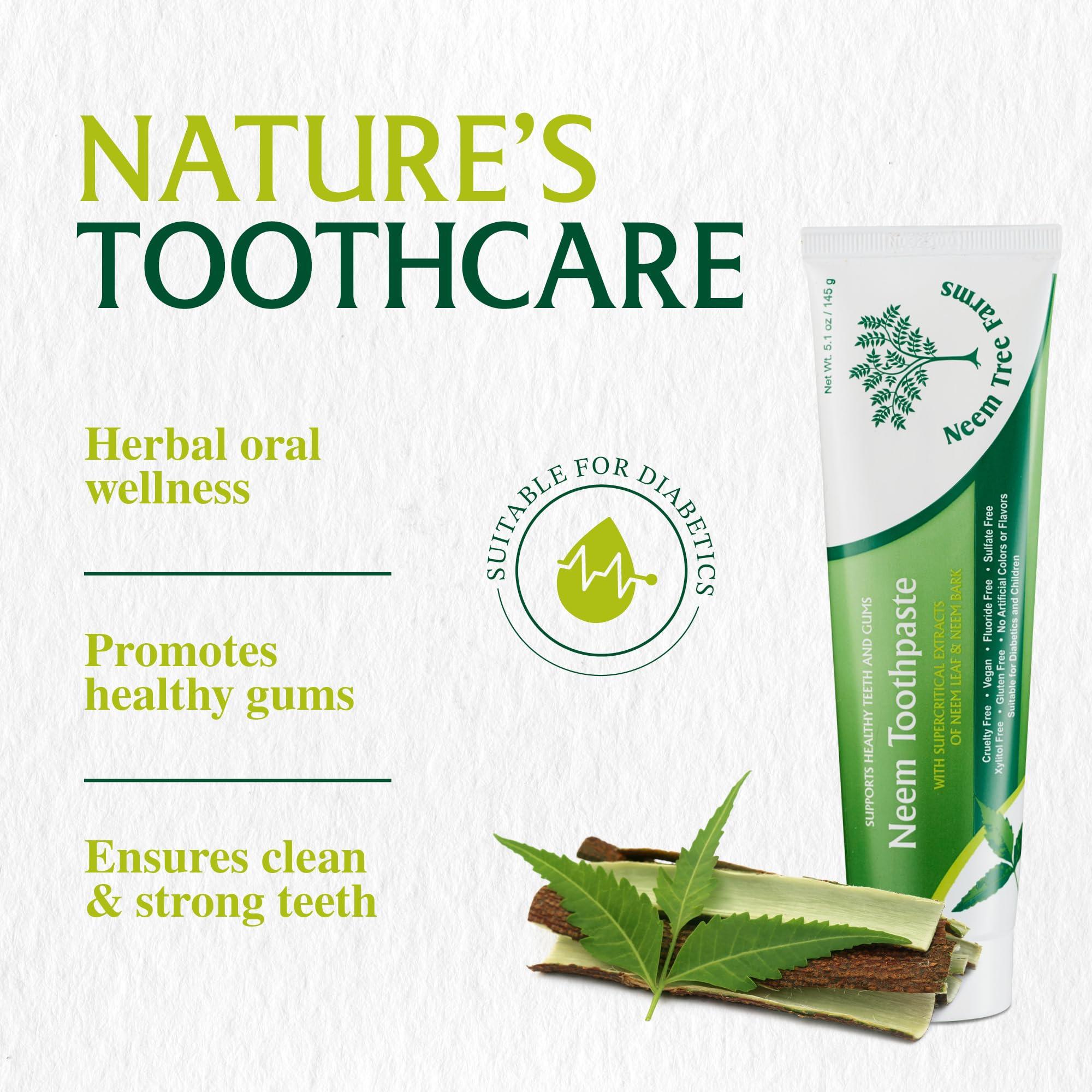 Neem Tree Farms Neem Toothpaste - Fluoride Free Toothpaste Adult, Children & Diabetic Friendly - 100% Vegan Natural Toothpaste Fluoride Free, Gluten Free, No Artificial Ingredients - with Clove & Stevia (2 pk)