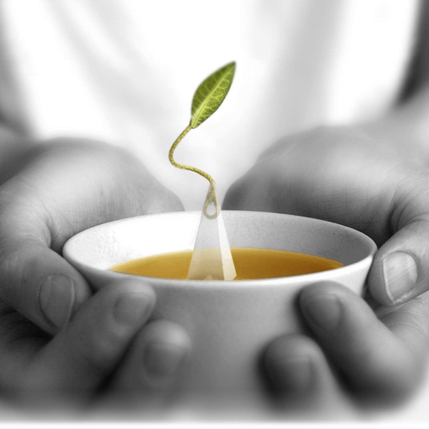 Tea Forte Tea Forte Decaf Breakfast Black Tea Event Box, Bulk Pack of 40 Pyramid Infuser Tea Sachets for All Occasions