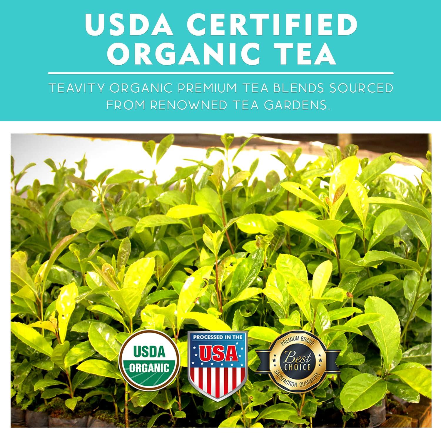 Teavity Organic Yerba Mate Refreshing Mint Tea Pods - Naturally Caffeinated Yerba Mate Tea Pod for Keurig Brewers by Teavity (24 Tea Pods)