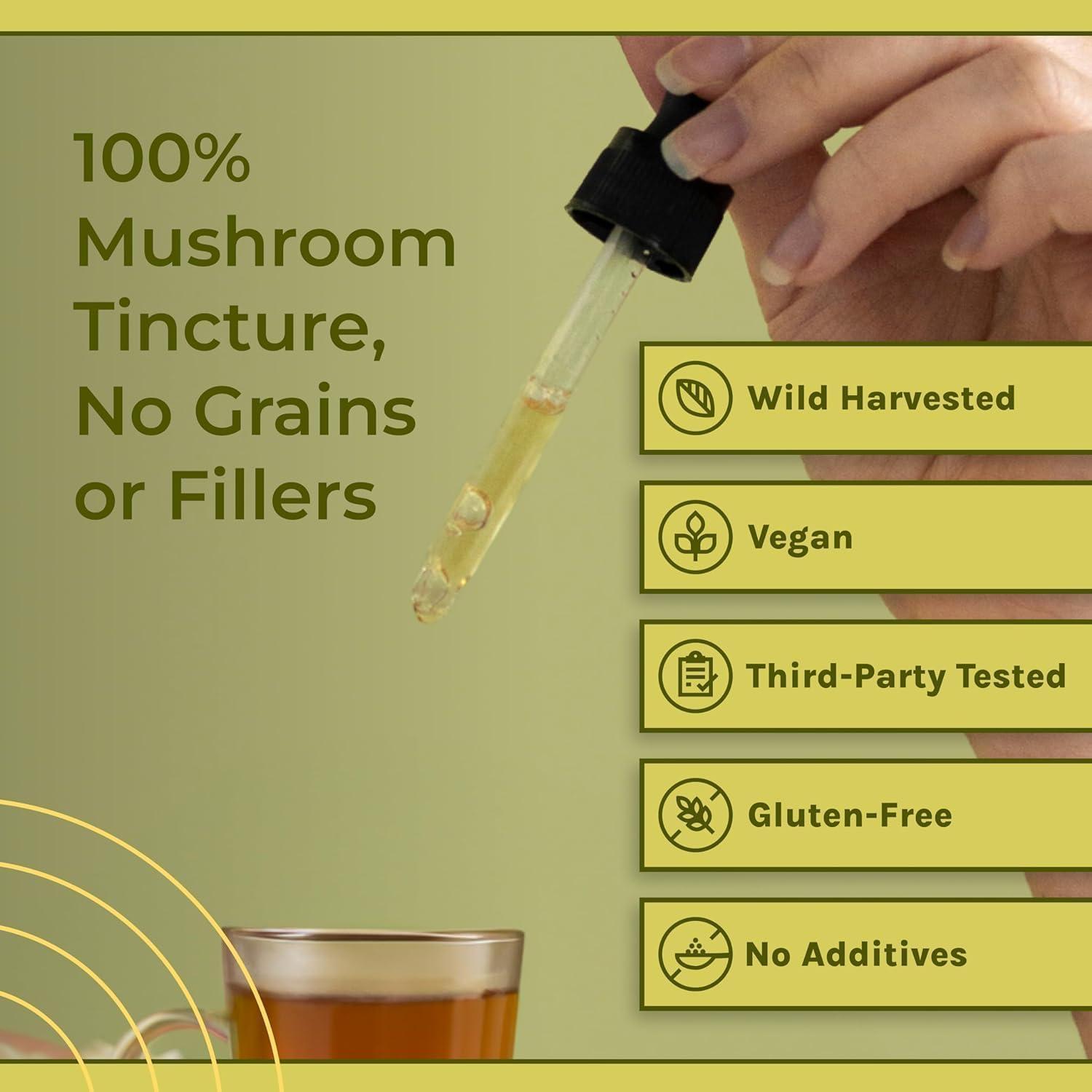 Naturealm Naturealm Reishi Mushroom Liquid Tincture Supplement  Promotes Calmness, Immune Support & Sleep Aid, Vegan, Non-GMO  Organic Fruiting Bodies, 1 Month Supply