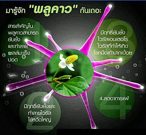 Thai Giffarine Thai Giffarine Beta Plu-Kao Capsule (45 Grams)