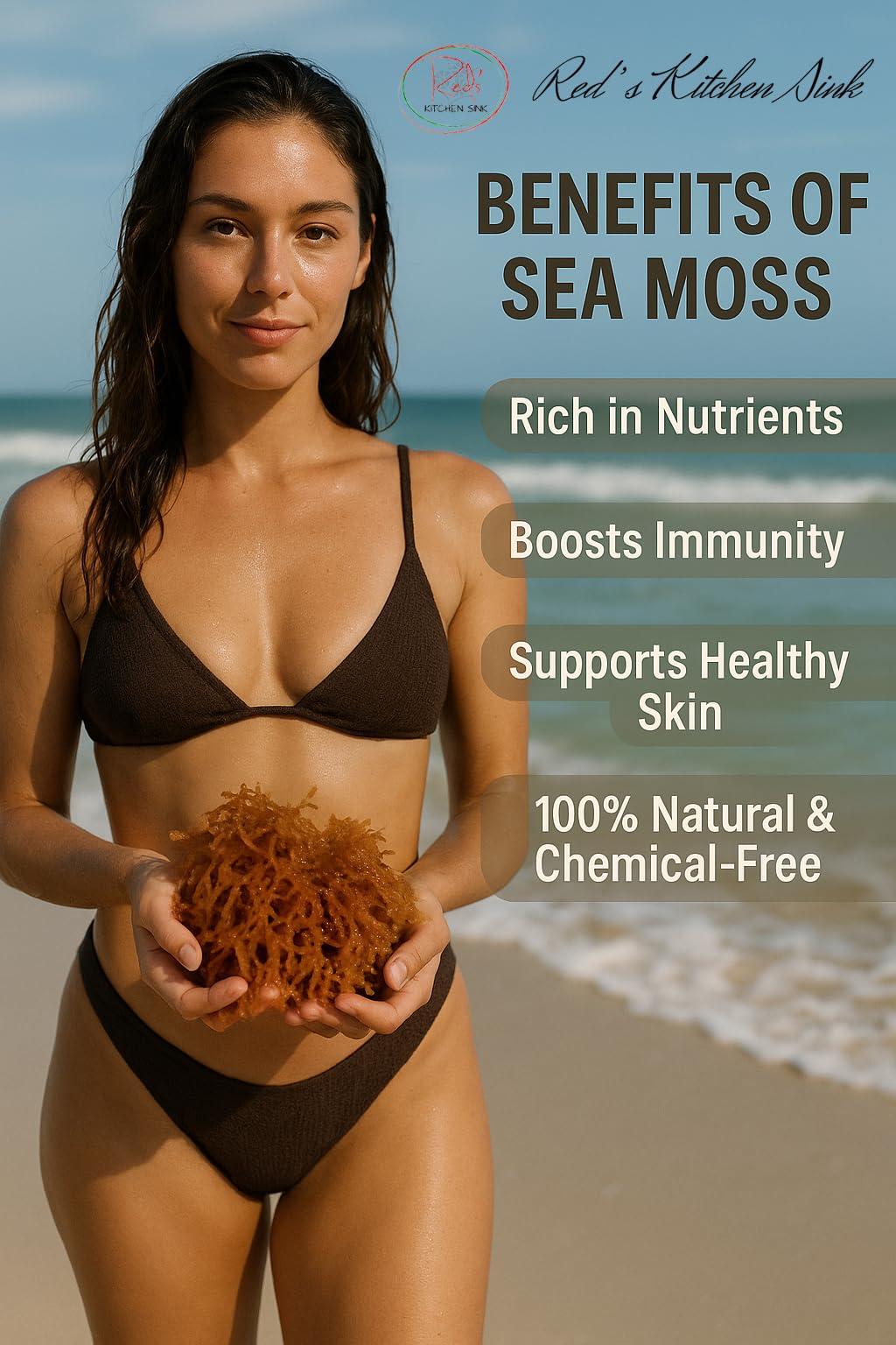 Red\'s Kitchen Sink Sea Moss | Irish Sea Moss | Wildcrafted - 100% Natural, Makes 120+ oz of Seamoss Gel, from St. Lucia | Dr. Sebi - 8oz