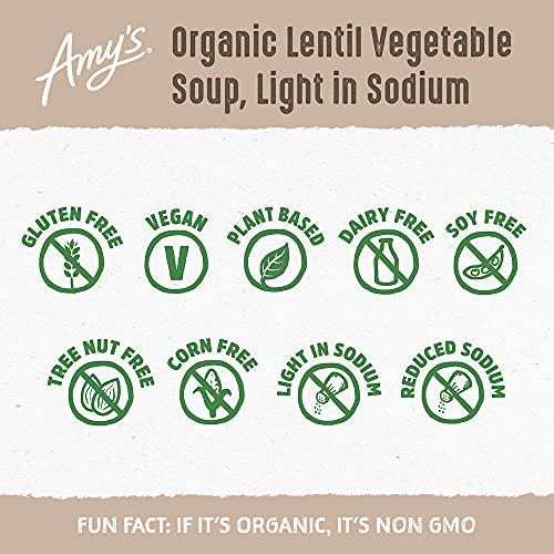 Amy\'s Amys Soup, Vegan Light in Sodium Lentil Vegetable Soup, Gluten Free, Made With Organic Vegetables, Canned Soup, 14.5 Oz