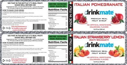Drinkmate Drinkmate Premium Soda & Beverage Flavor Syrup Variety Pack, Made in Italy with real fruits, Pure cane sugar, Low Calories, 16.9 Ounces (Blueberry, Ginger & Lemon, Pomegranate, and Strawberry Lemon)