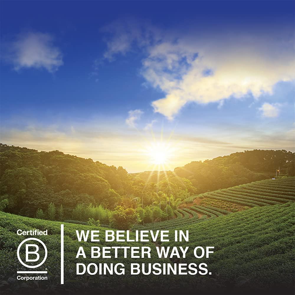 Garden of Life Garden of Life Super Seed - Vegetarian Whole Food Fiber Supplement with Protein and Omega 3, 1 Lb 5oz (600g) Powder