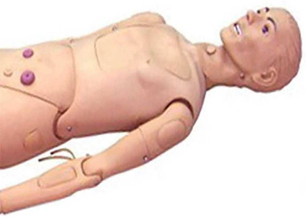 HIMFL HIMFL Multi-Functional Patient Care Simulator,170cm Life Size Nursing Training Manikin, for Training Teaching & Education Supplies