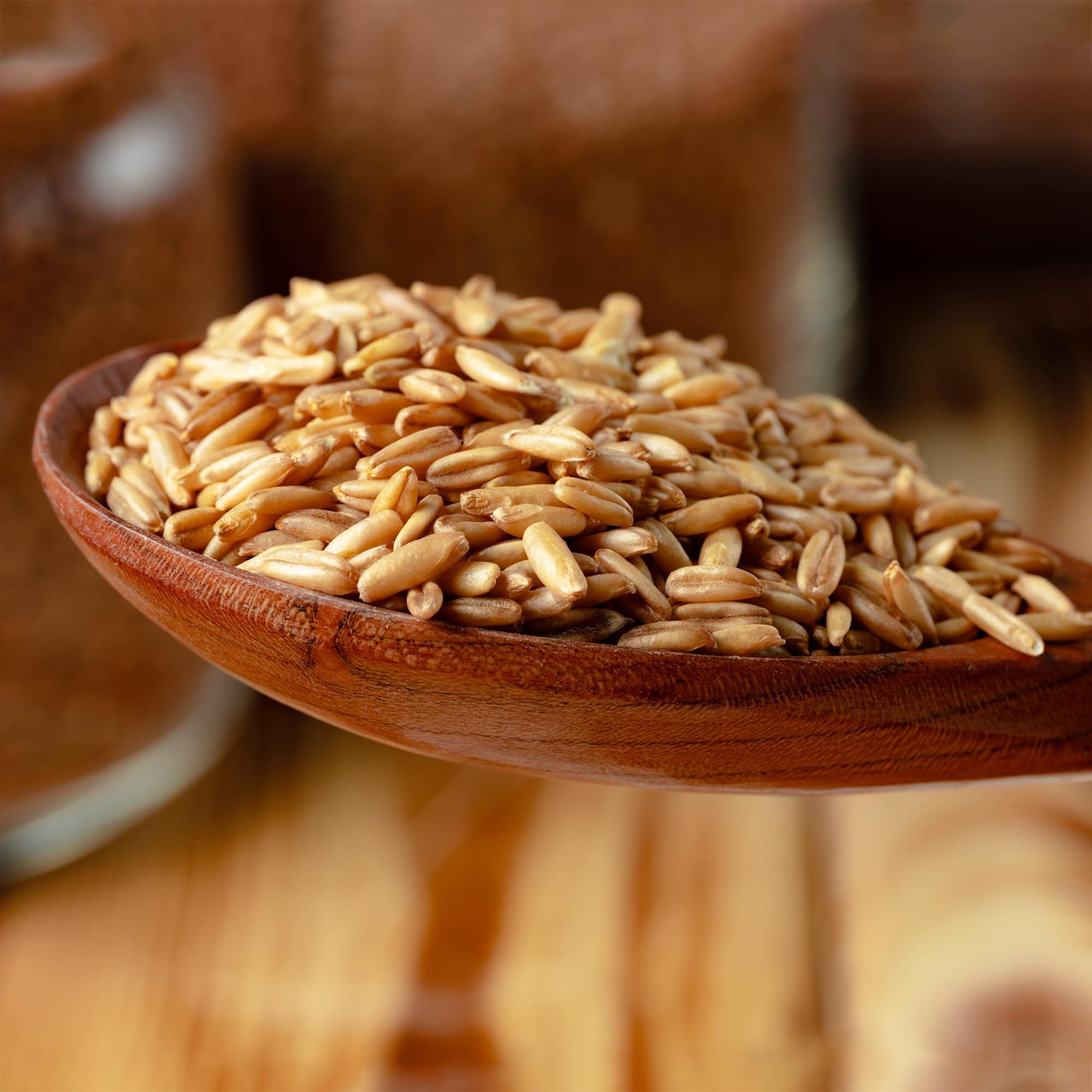 PURE ORIGINAL INGREDIENTS Pure Original Ingredients Oat Groats (3 lb), Whole, Uncut & Hulless, High in Protein, Oat Kernels