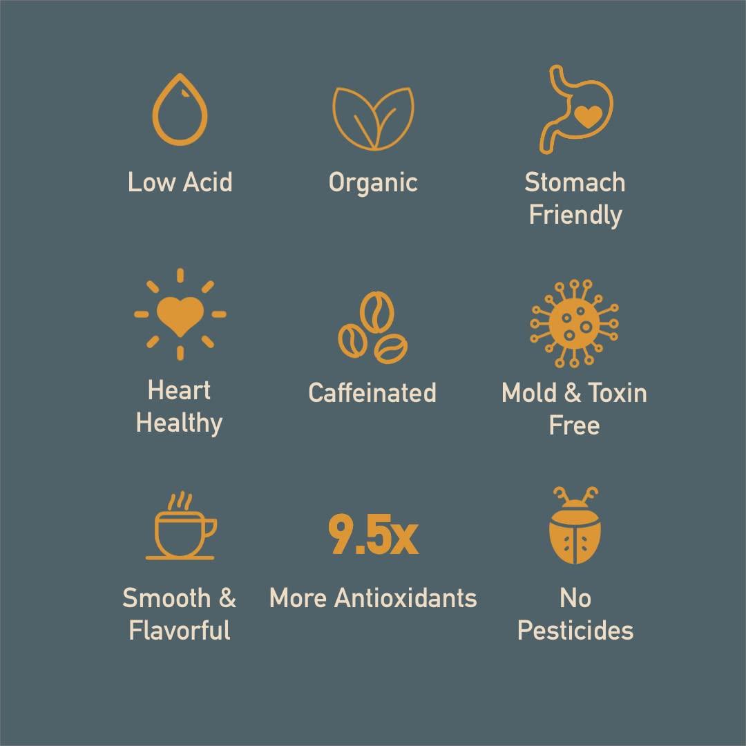 Thompson's Healthy Bean Organic Coffee Healthy Bean Low Acid Coffee Pods - USDA Organic, Mold-Free, Superfood Infused Single Serve Coffee Pods - Clean, Gentle on Stomach, Smooth and Rich Flavor - Semi-Dark Roast Coffee Capsules, 12 Pack