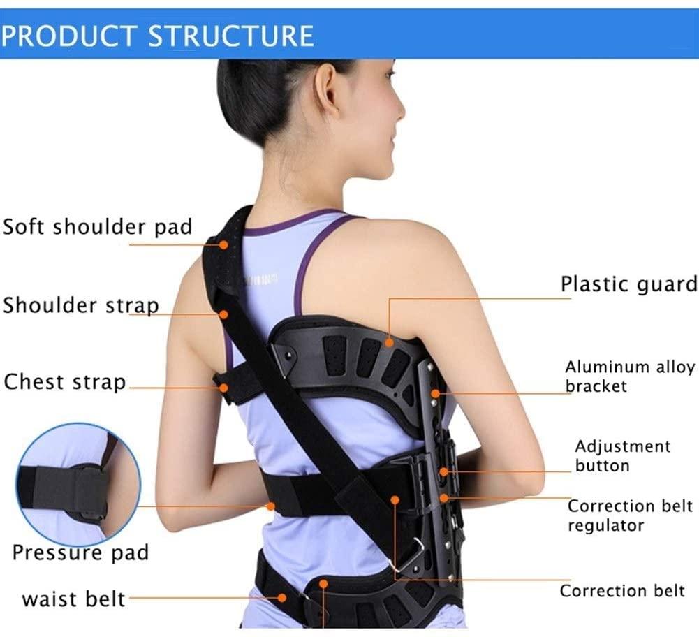SJHY Posture Corrector Adjustable Scoliosis Posture Corrector Spinal Auxiliary Orthosis for Back Postoperative Recovery Adults Health Care Back Posture (Color : Blue)