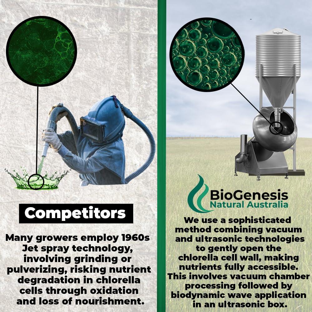 Biogenesis Organic Chlorella Tablets, Australian | Advanced BioDynamic Cracked Cell Wall | Chlorophyll-Rich, Vitamins, Minerals, Chlorella Growth Factor | Supports Good Health | Vegan Tablets (Mixed Berry, 300)