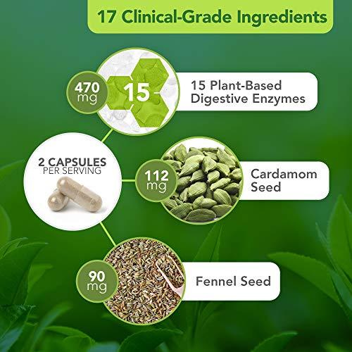 Vital Plan Vital Plan Active Enzymes Supplement by Dr. Bill Rawls - Digestive Enzymes for Gut Health & Digestion - Protease, Bromelain, Lactase, Amylase & Lipase (120 Capsules)