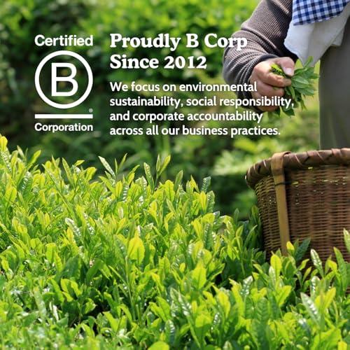 SENCHA NATURALS SEN CHA Naturals Organic Matcha Green Tea Powder, Ceremonial Grade, First Harvest Organic Matcha, 1oz Tin (1 Pack)