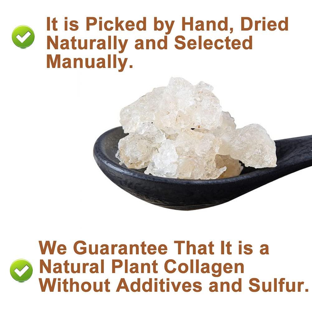 Plant Gift Plant Gift Wild Edible Gum,Tragacanth Gum ?? Snow Swallow xueyan No Colors, NON-GMO 150g / 5.29oz