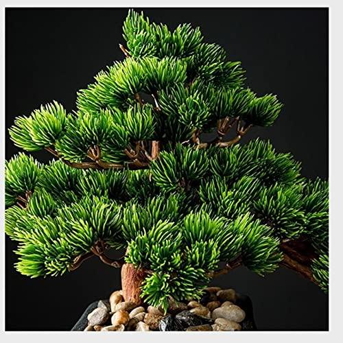 CLoxks Artificial Bonsai Simulation Fake Tree Bonsai Home Living Room Chinese Sand Table Porch Landscaping Decoration Green Plant Ornaments for Home Office (Color : Brass)