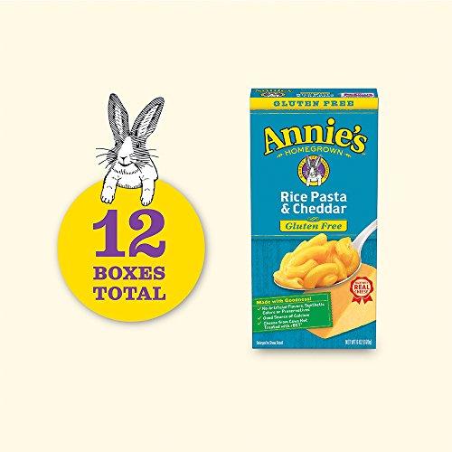 Annie's Homegrown Annie’s Four Cheese Penne Macaroni and Cheese Dinner with Organic Pasta, 5.5 OZ (Pack of 12)