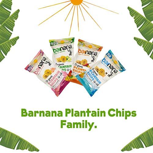 Barnana Barnana Organic Plantain Chips with Himalayan Pink Salt, 5 Oz