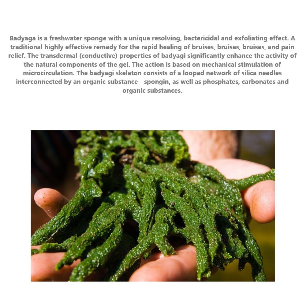 DUOSHOP Gel \"Badyaga Forte\" Ointment from Edema, for Bruises, Hematom, Acceleration of Healing, from Pigment and Stagnant Spots, Bodyaga Skin Cream, Mask for Bruises, Gel Against Bruises, 75 ml