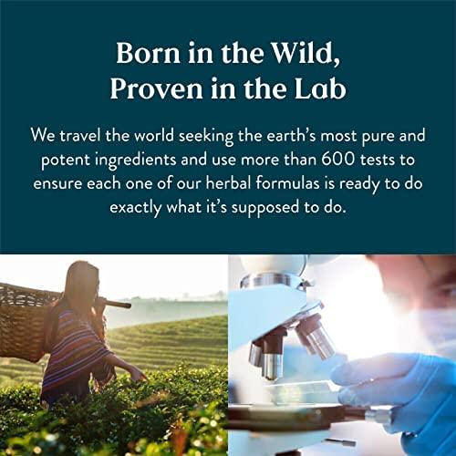 Nature's Sunshine Nature's Sunshine Balanced B Complex, 120 Tablets | B Complex Vitamins to Support Digestion and Nervous System Health with Vegetarian Formula