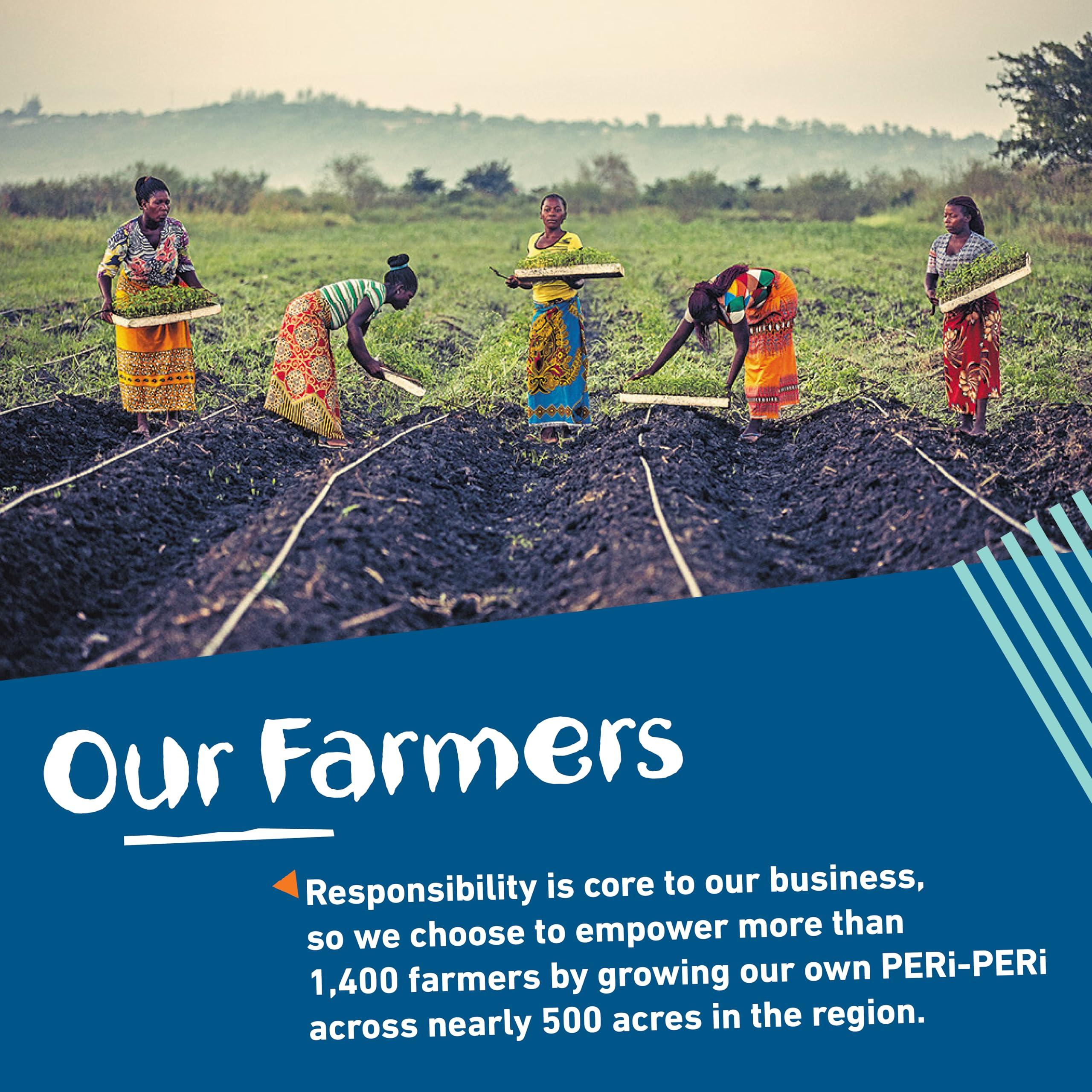 NANDO\'S PERI-PERI Nandos PERi-PERi Hot Sauce Gift Set - Spicy Sauces, Seasoning or Marinade for Meat or Veg - Food Gifts for Couples, Perfect Presents for Men or Women, No Artificial Colors or Flavors - Limited Edition