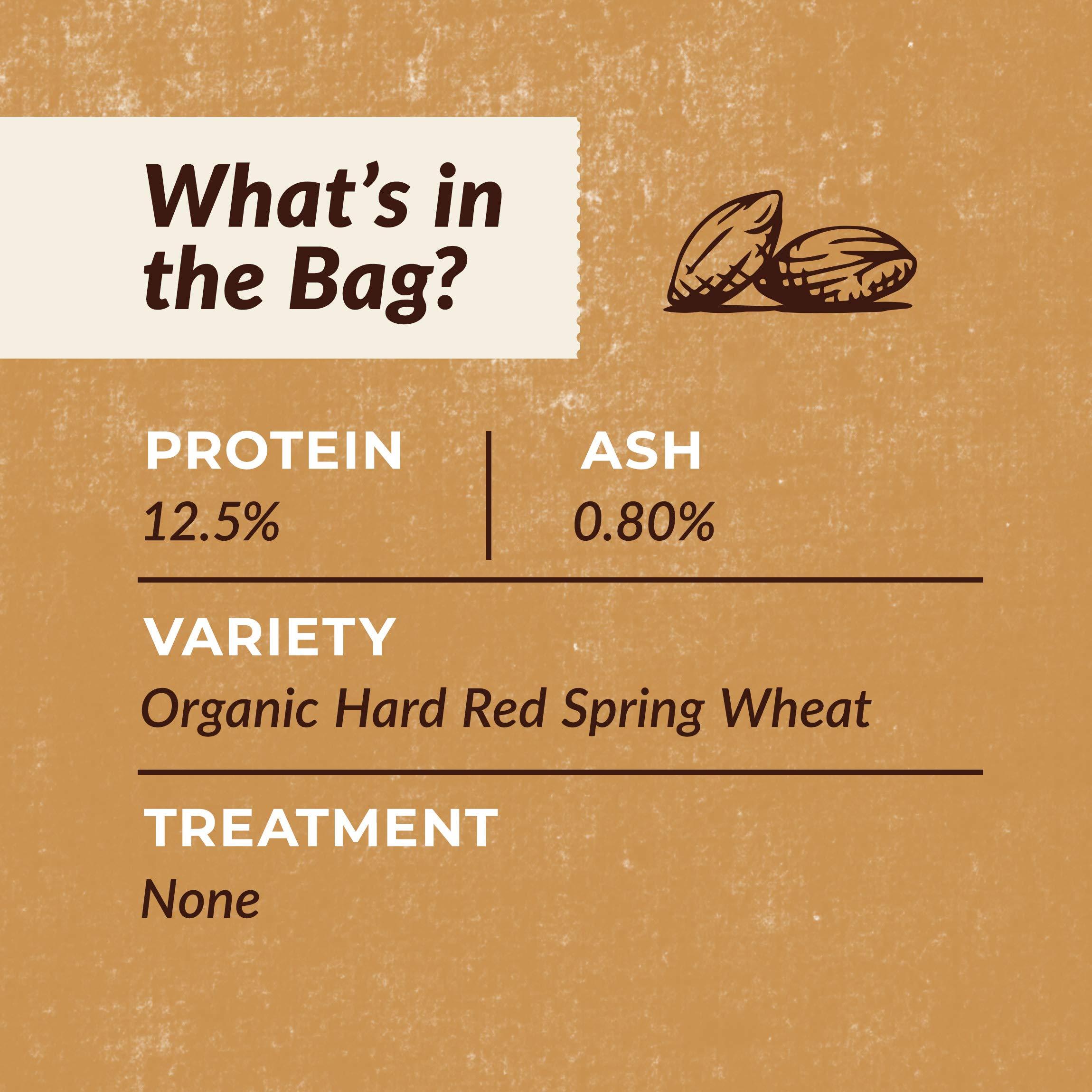 CENTRAL MILLING CENTRAL MILLING 100% Organic Artisan Bread Flour - 25 lbs - Old World