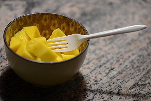 EcoQuality Disposable Plastic Cutlery Fork (400 Count) - Medium Weight White Disposable Plastic Forks - Great for Parties, Office, Lunch, Restaurants by EcoQuality