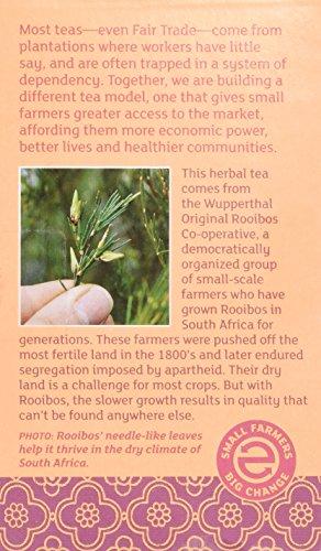 Equal Exchange Equal Exchange Organic Vanilla Rooibos Tea, 20-Count