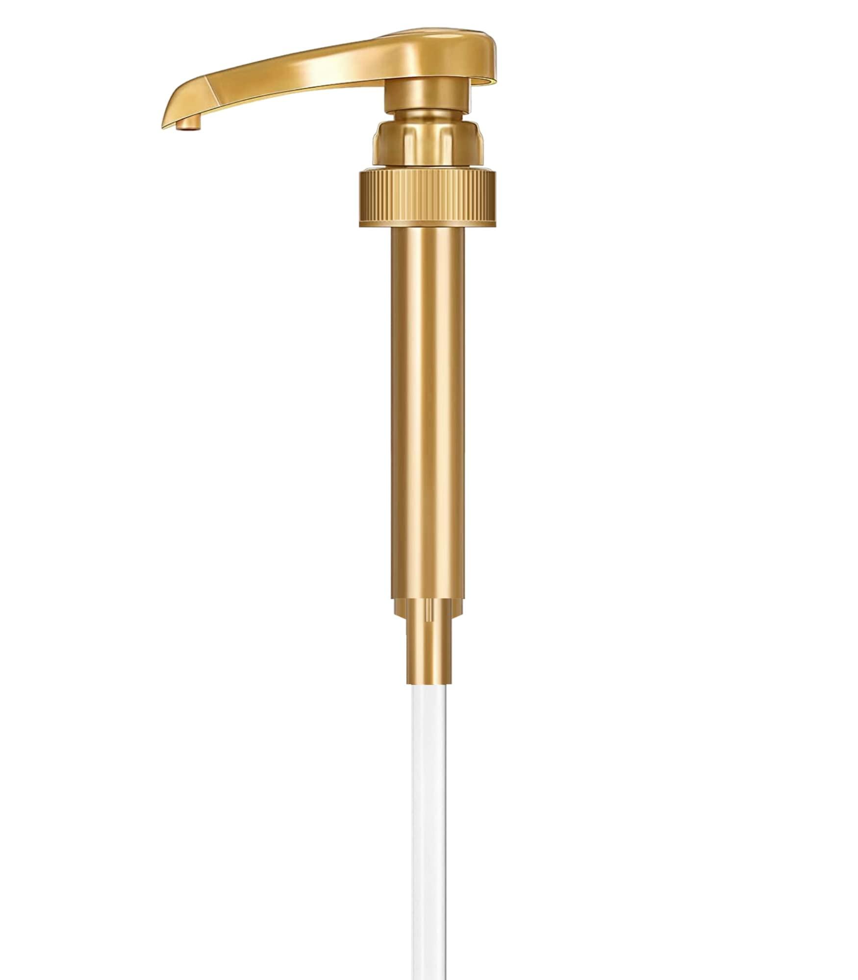 little squirt syrup pump Torani Sugar Free French Vanilla Syrup with Little Squirt Syrup Pump, 750ml 25.4 Ounces