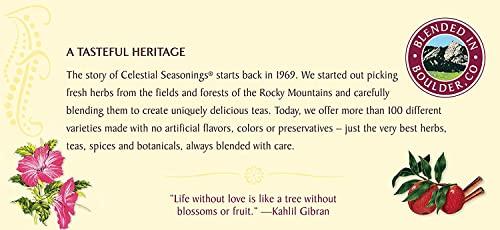 Celestial Seasonings Celestial Seasonings Tea Herb Cranberry Apple Zinger