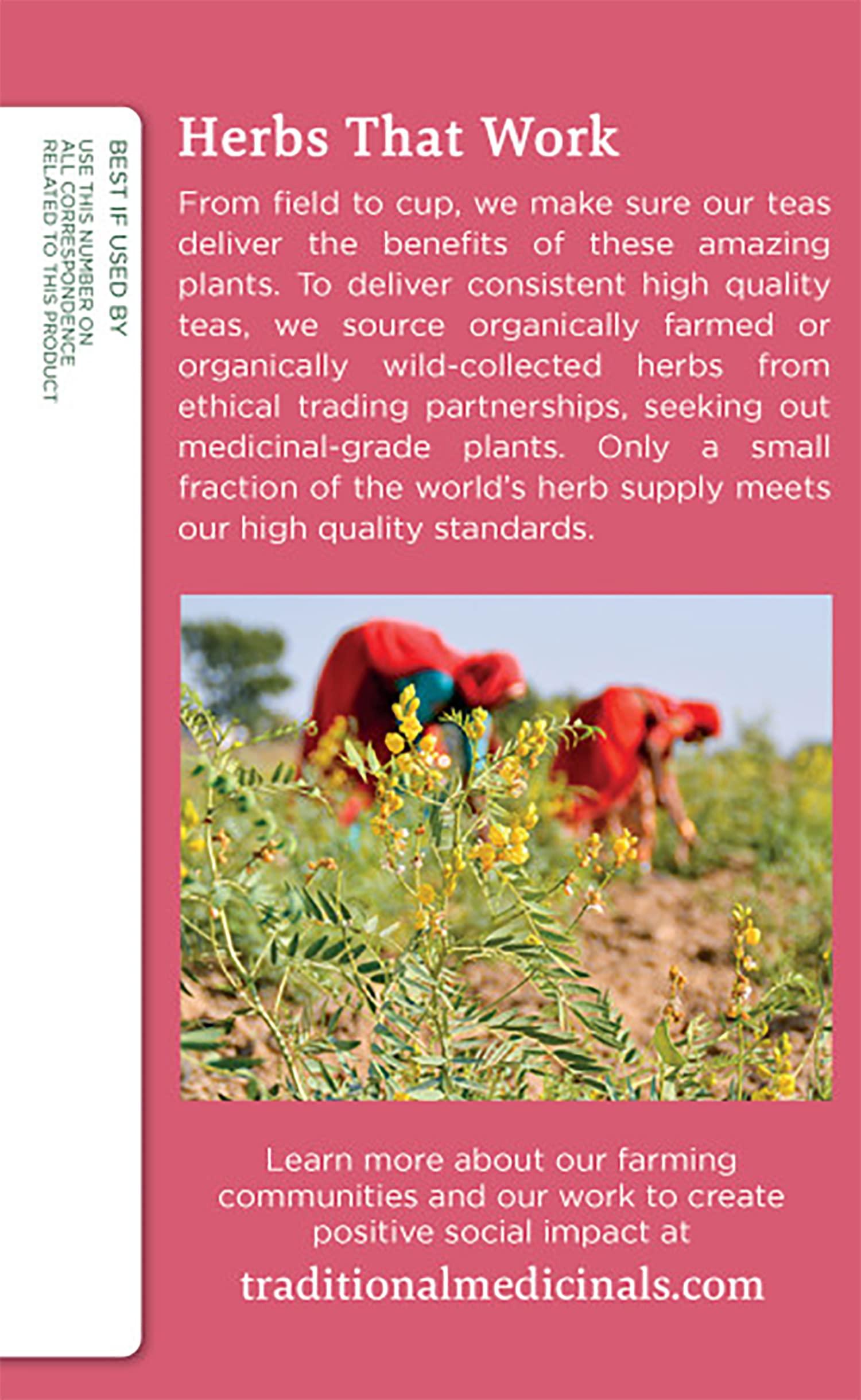 Traditional Medicinals Traditional Medicinals Teas Organic Mother\'s Milk Herbal Tea, 32 Count