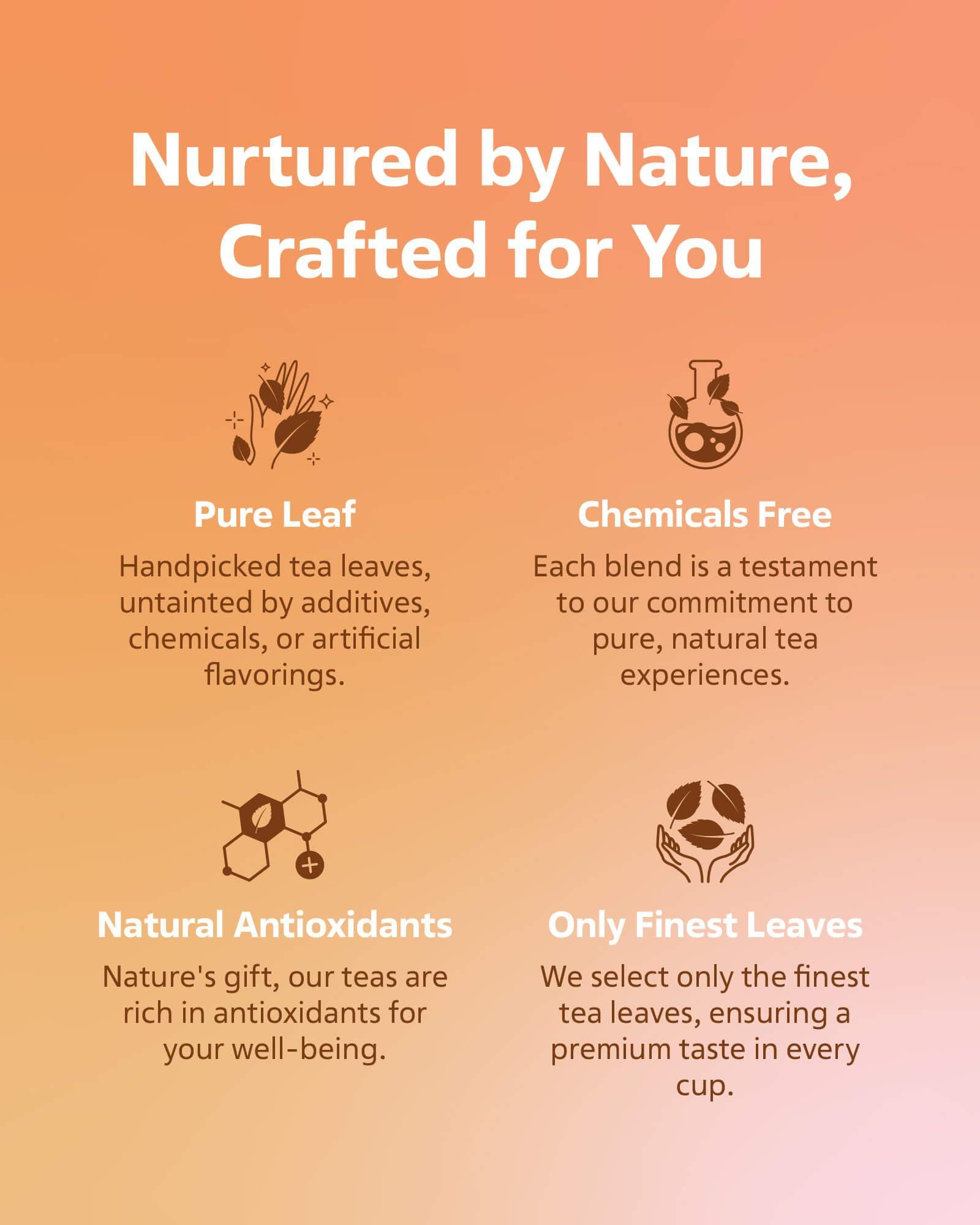 LOVARE LOVARE Tea Bags, 32 Count - Assorted Black Tea Variety Pack - 1001 Night, Passion Fruit, Champagne Splashes, Wild Berry - Made in Ukraine - Gluten Free