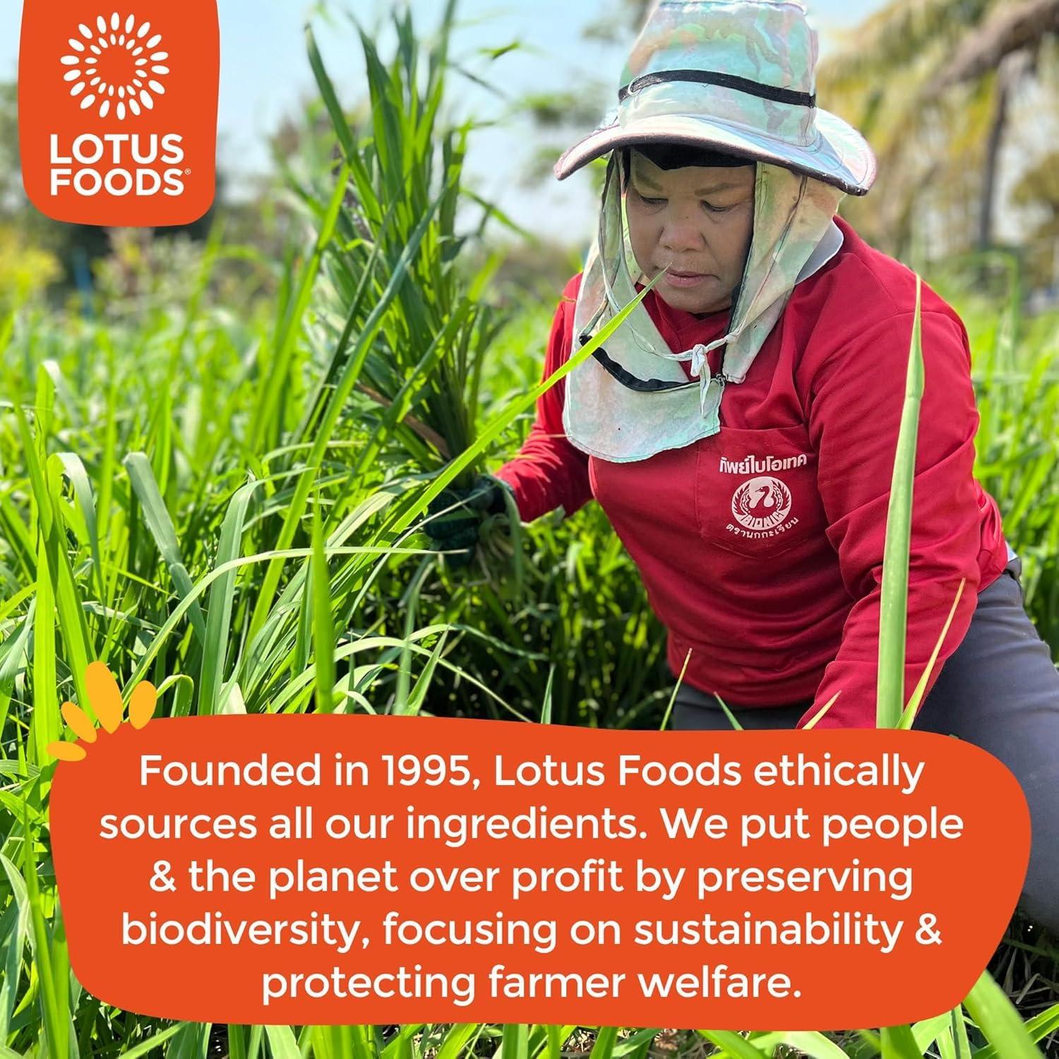 Lotus Foods Lotus Foods Bulk Organic Millet & Brown Rice Ramen - Gluten Free Ramen Noodles, Whole Grain Ramen Noodles, Organic Vegan Rice Noodles, Low Sodium, Gluten Free, USDA Organic - 2.8 Oz Bags (Pack of 48)