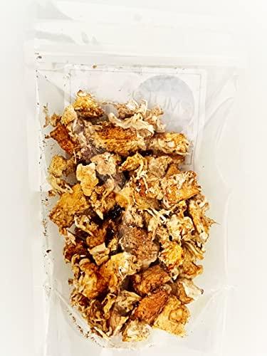 Meteor Mushrooms Lions Mane Mushrooms ~ dried pieces