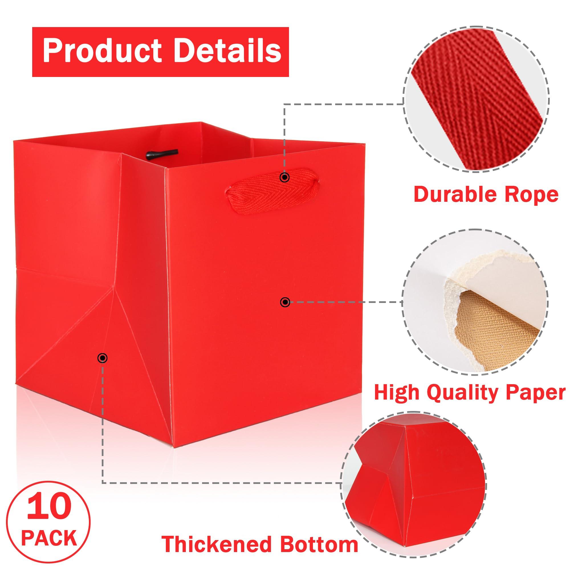 IN-JOOYAA IN-JOOYAA Red Square Gift Bags Small Paper Bags Party Favor Bags with Rope Handle 10 Pcs(6 x 6 x 6 in, Red)