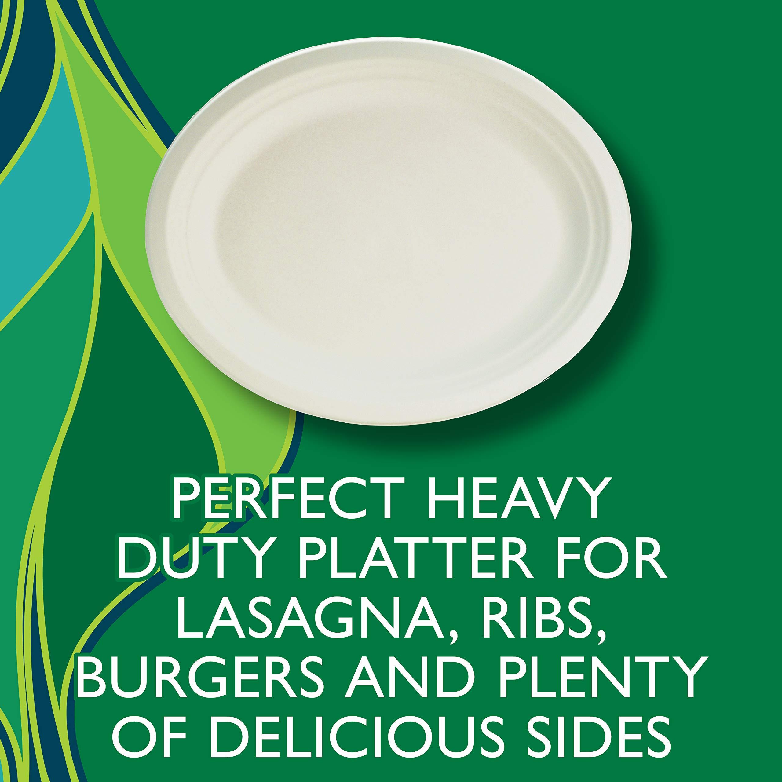 Hefty Hefty EcoSave Disposable Oval Platters, Made from Plant Based Materials, Heavy Duty & Microwave Safe Large Oval Platter Paper Plates, 10 CT (Pack of 4)