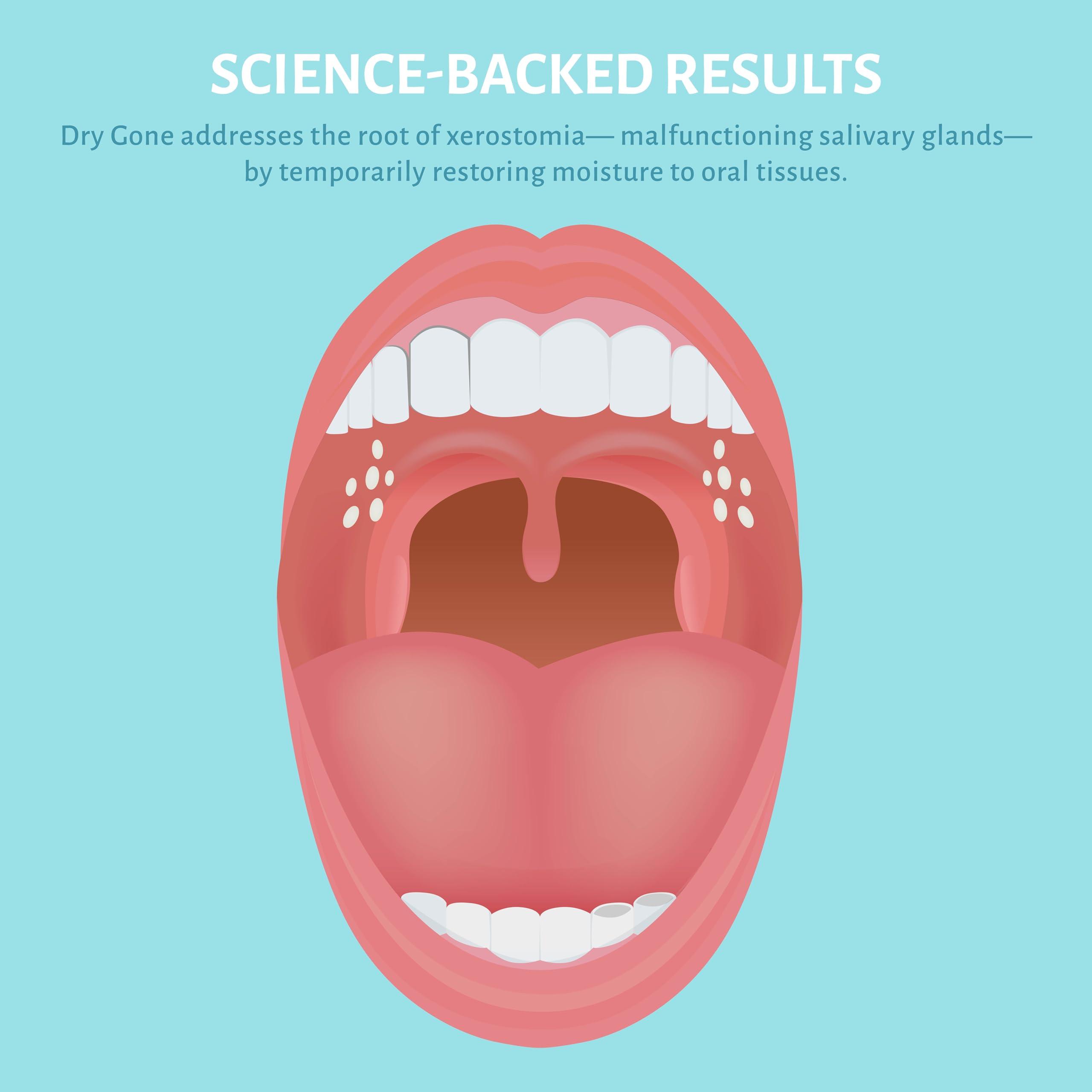 EVEREST ORAL CARE Natural Dry Mouth Moisturizing Spray with Xylitol - Dry Gone Throat Moisturizer Provides Relief from Cotton Mouth with Neem, Peppermint Oil, & Herbal Extracts (2 Fl Oz)