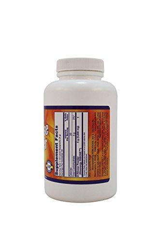 Now Foods Now Foods D-Ribose Pure Powder - 8 oz.