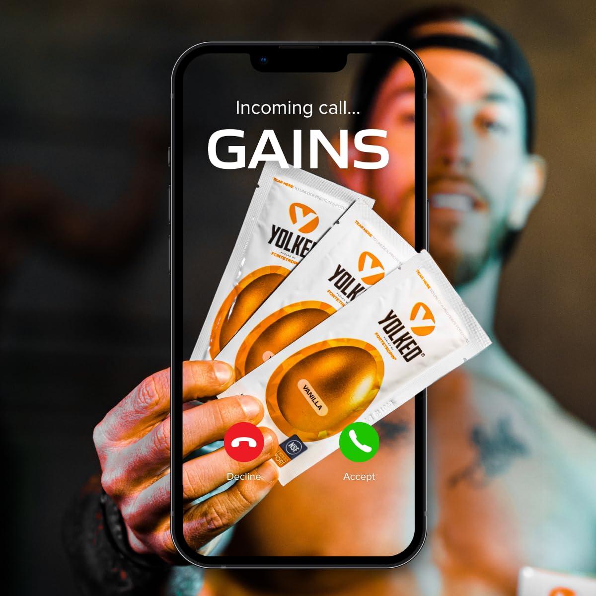 YOLKED YOLKED - Clinically Tested and NSF-Certified All Natural Muscle Building Supplement - Increase Lean Muscle, Reduce Muscle Loss, and Improve Recovery with Protein’s Perfect Partner, 30 Servings