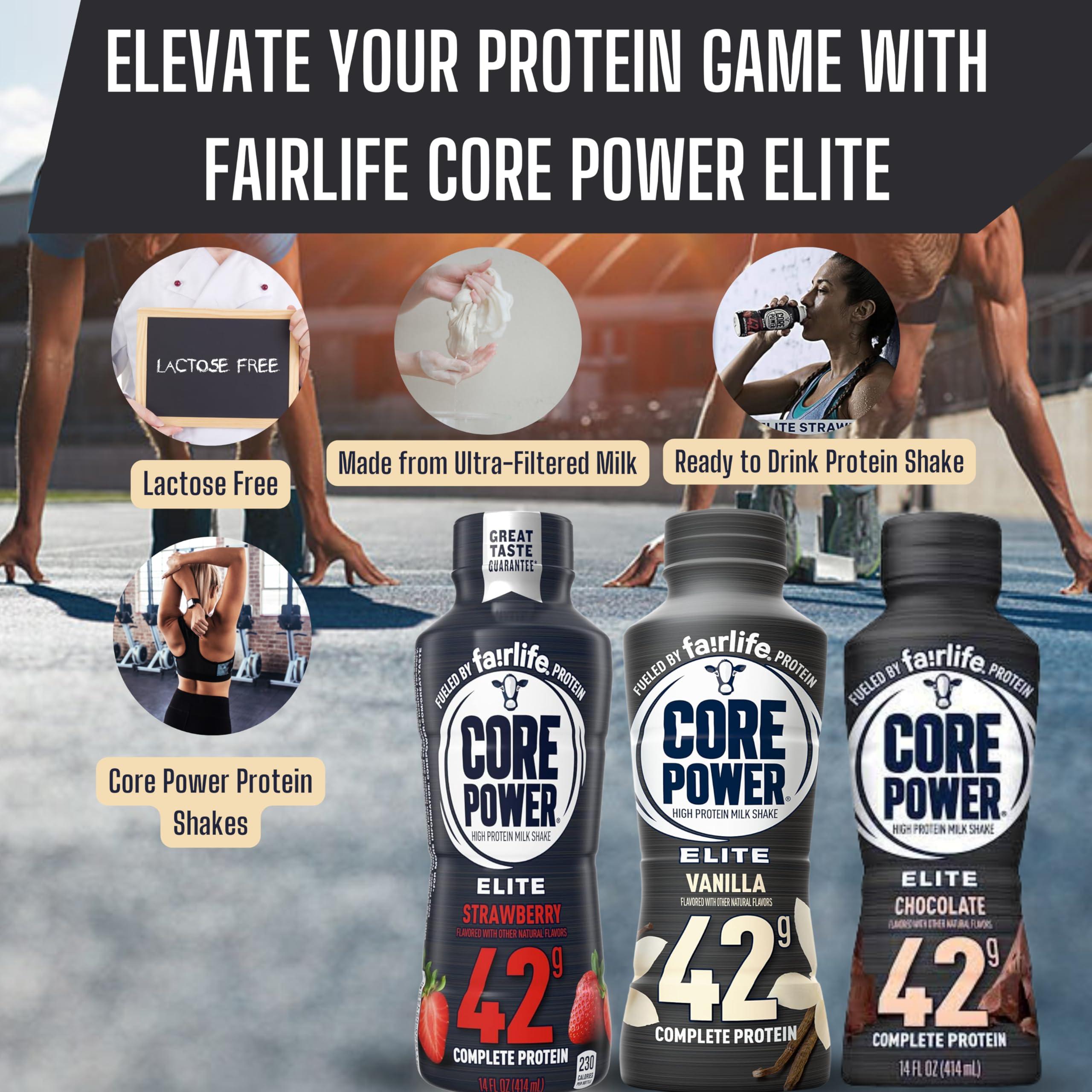 Worldwide Nutrition Worldwide Nutrition Bundle Compatible with Fairlife Core Power Elite 42g High Protein Milkshake - Chocolate, Strawberry, Vanilla Protein Shake Ready to Drink - 14 Fl Oz (Pack of 12) & Keychain