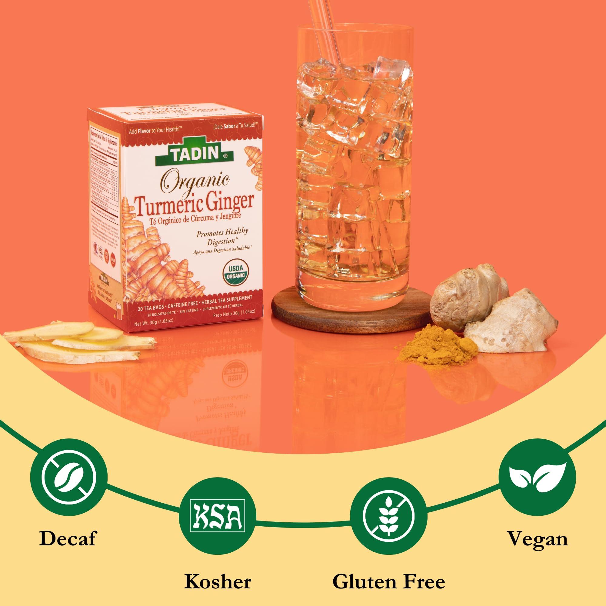 Tadin Herb and Tea Tadin Organic Turmeric Ginger Tea, Herbal Tea, Digestive Tea, Organic Tea, Ginger Turmeric Tea, Caffeine Free Tea, Wellness Tea, 20 Tea Bags Per Box, Pack of 6