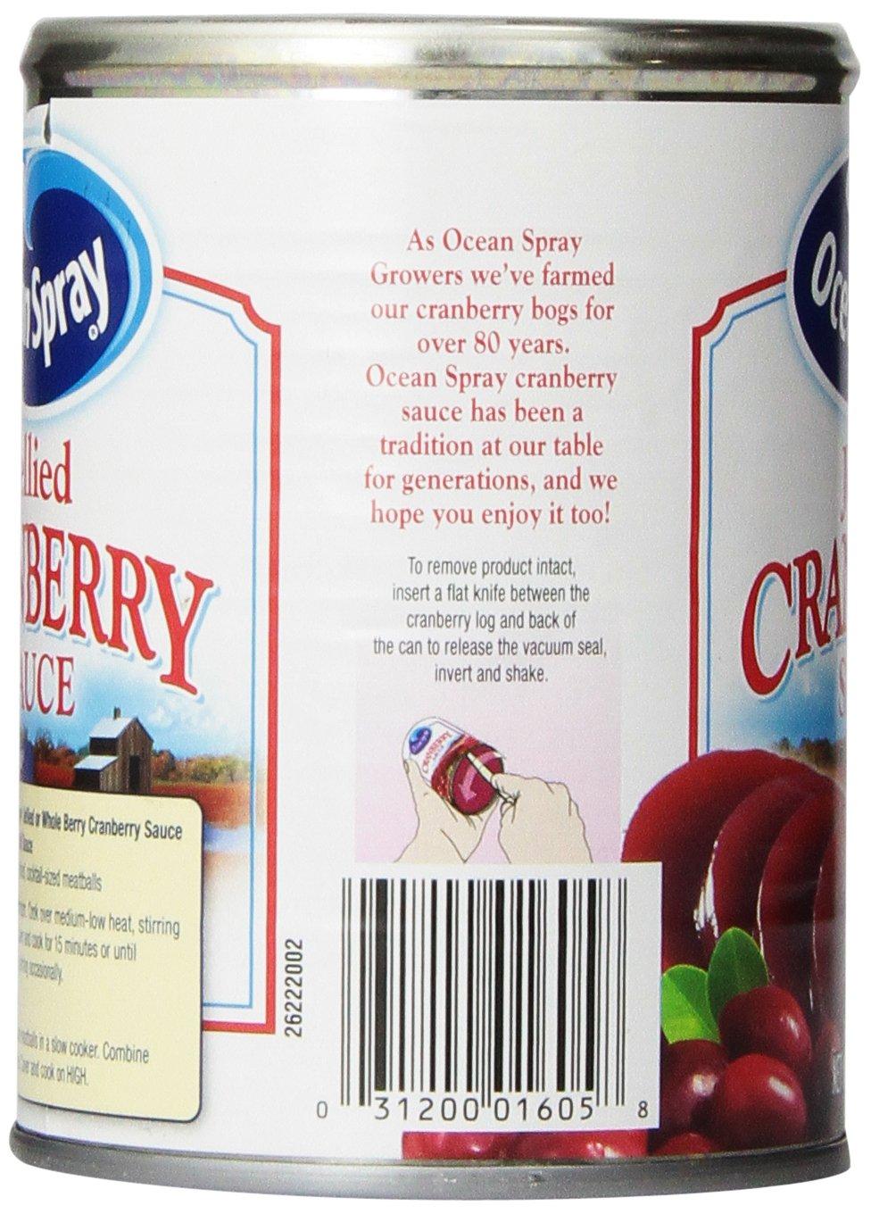Ocean Spray Ocean Spray Cranberry Sauce, Jellied, 14 Fl Oz