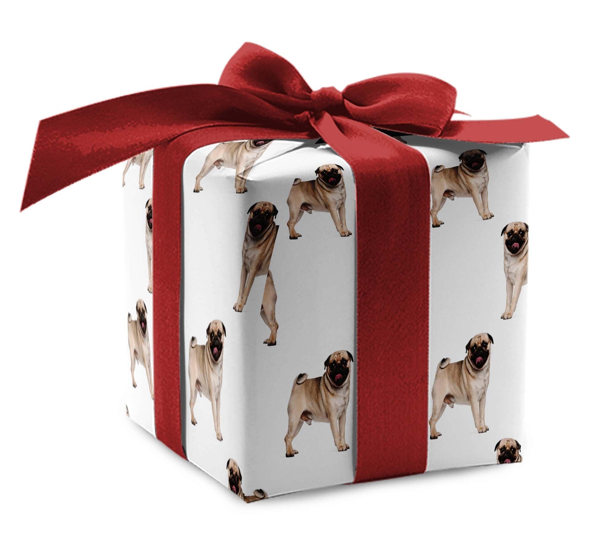 Foot Defender Foot Defender Protective Boot for Foot Wounds Designed to Offload Pressure and Help Diabetic Foot Ulcers Heal Faster (Medium)