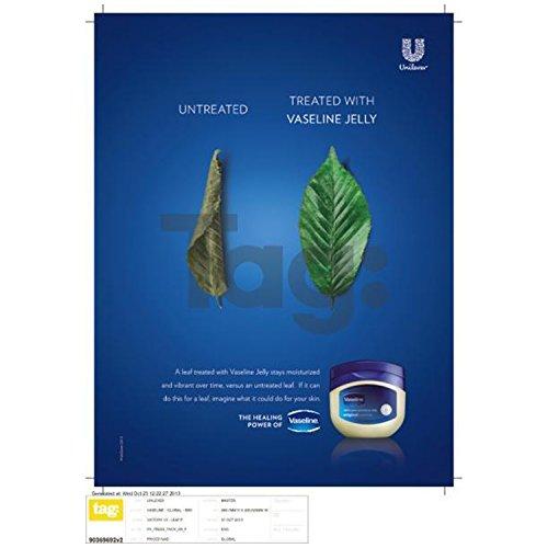 Vaseline Vaseline Petroleum Jelly Original 13 oz