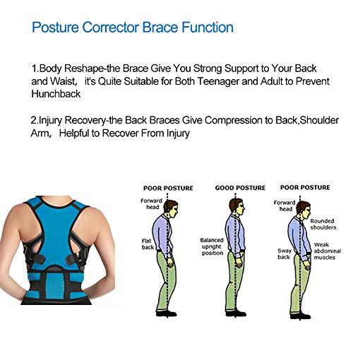 Panegy Panegy Comfort Posture Corrector Brace Posture Correction Elastic Clavicle Belt Adjustable Posture Back Support Corrector Brace Lumbar Brace Back Shoulder Support Band Size M Light Blue