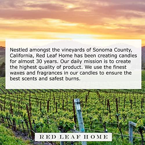 Red Leaf Home Red Leaf Home Turmeric Honey Candle, Large | Honeycomb Collection, Aromatherapy, Gift | 15.5oz Jar