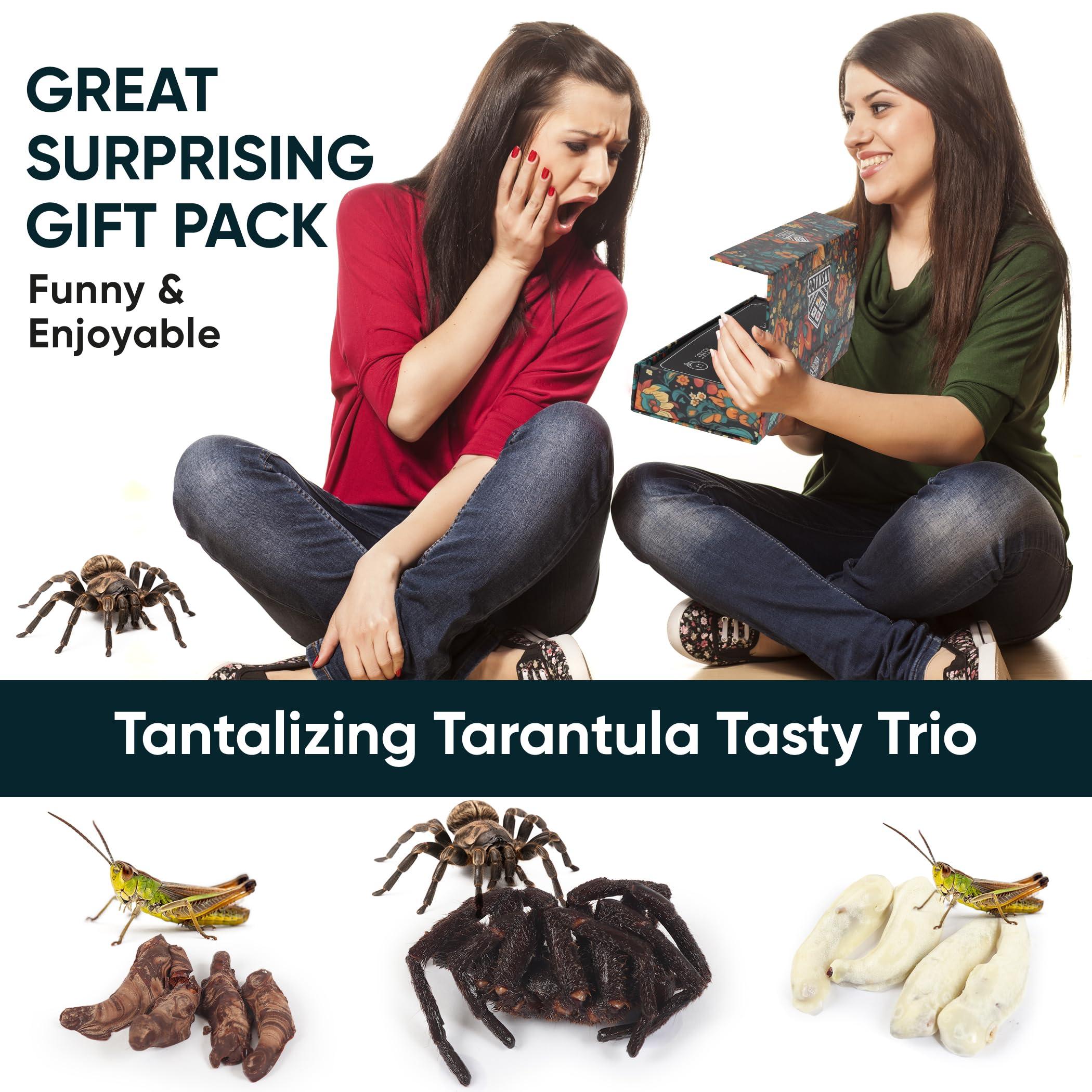 Insnacc White Elephant Gifts For Adults - 0.78 Ounce Real Edible Flavored Insects For Humans, Funny Birthday Gifts, Weird Gifts (Tarantula & Assorted Bugs, Box of 3)