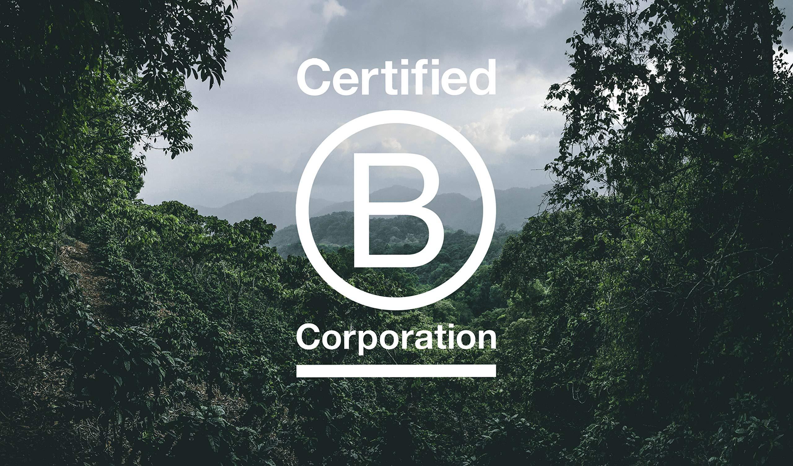 Nossa Familia Nossa Familia Italian Coffee - Medium-Dark Roast Low Acid - Fair Trade Whole Coffee Bean- Smooth Balanced and Low Bitterness - Roasted Whole Coffee- Sourced from Small Peruvian Farms - Delicia 12oz