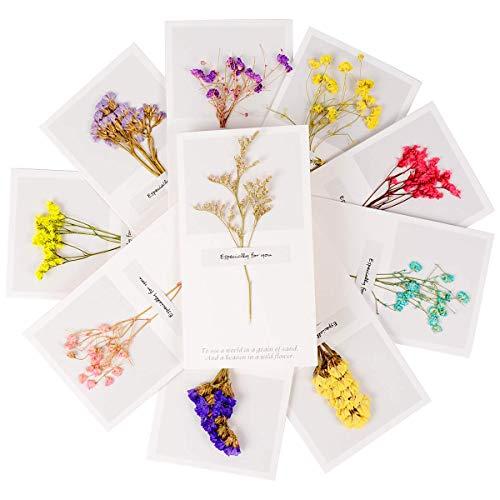 Andy Anand Chocolates Andy Anand Milk Chocolate Covered Cappuccino Biscotti Gift Boxed & Greeting Card, Delicious, Succulent & Crunchy, Birthday, Valentine's Day, Christmas, Holiday Food Gifts, Mothers Day (1 lbs)