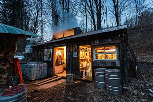 Tree Juice Maple Syrup Tree Juice Chocolate Maple Syrup | 100% Pure Grade A Maple Syrup | All Natural, Non GMO, Vegan, Gluten Free, Vegetarian, Paleo | 12 Ounce Bottle