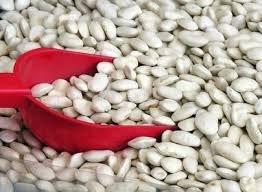 Mulberry Lane Farms Great Northern Beans, 5 Pounds USDA Certified Organic, Non-GMO, Dried, Bulk, Product of USA , Mulberry Lane Farms