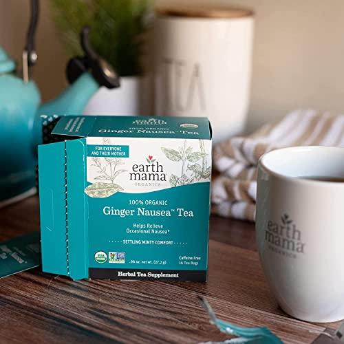 Earth Mama Earth Mama Organic Ginger Nausea Tea | Comforts Occasional Nausea + Morning Sickness, 16 Teabags Per Box (6-Pack)